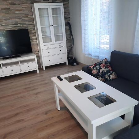 Apartament Za Swierkami コウォブジェク エクステリア 写真