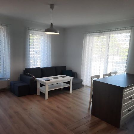 Apartament Za Swierkami コウォブジェク エクステリア 写真