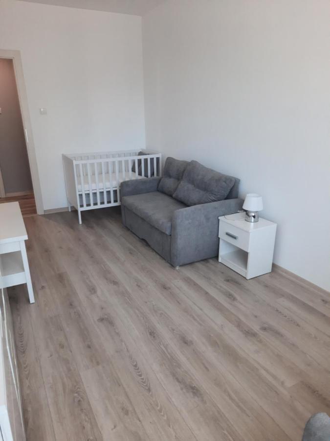 Apartament Za Swierkami コウォブジェク エクステリア 写真