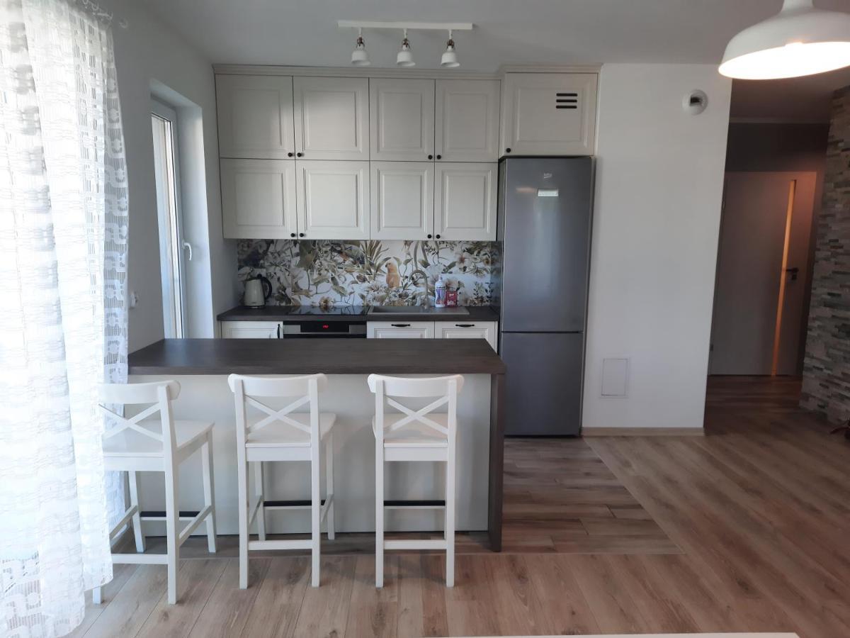 Apartament Za Swierkami コウォブジェク エクステリア 写真