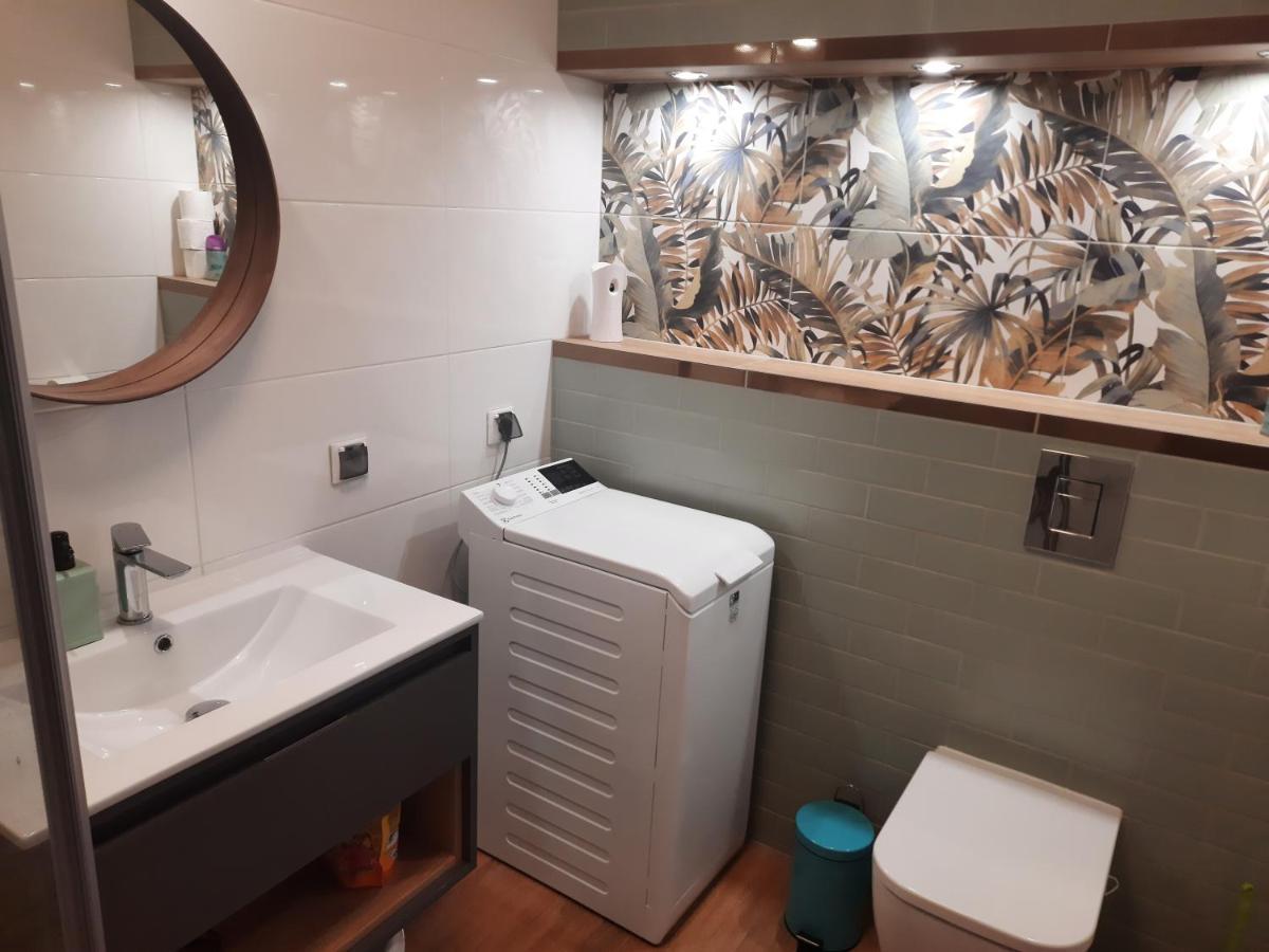 Apartament Za Swierkami コウォブジェク エクステリア 写真