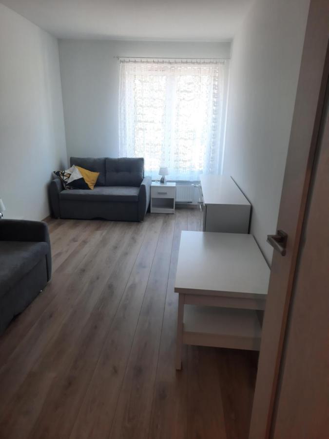 Apartament Za Swierkami コウォブジェク エクステリア 写真
